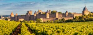 image de la cité de carcassonne et ses vignobles